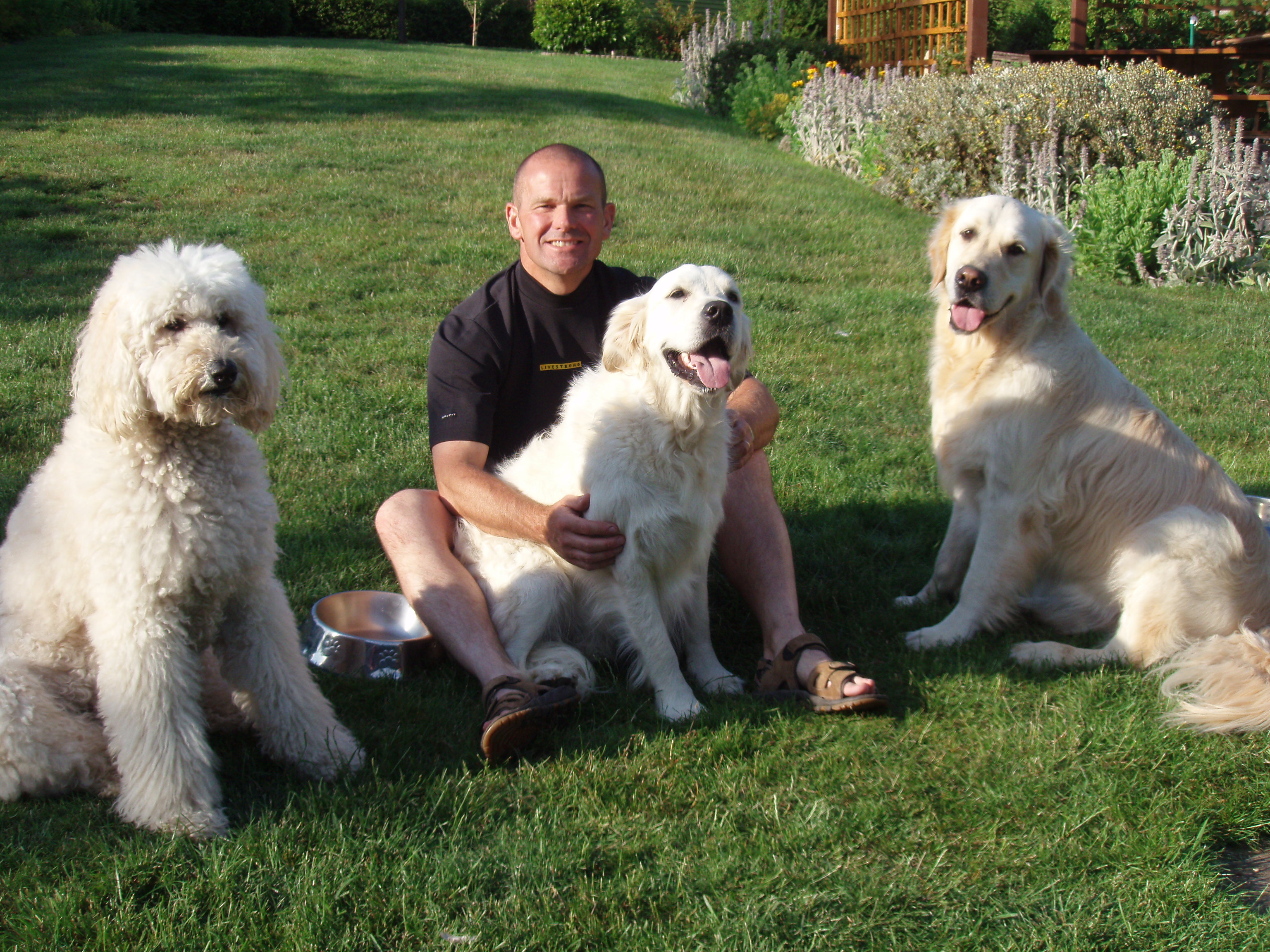 Doggies