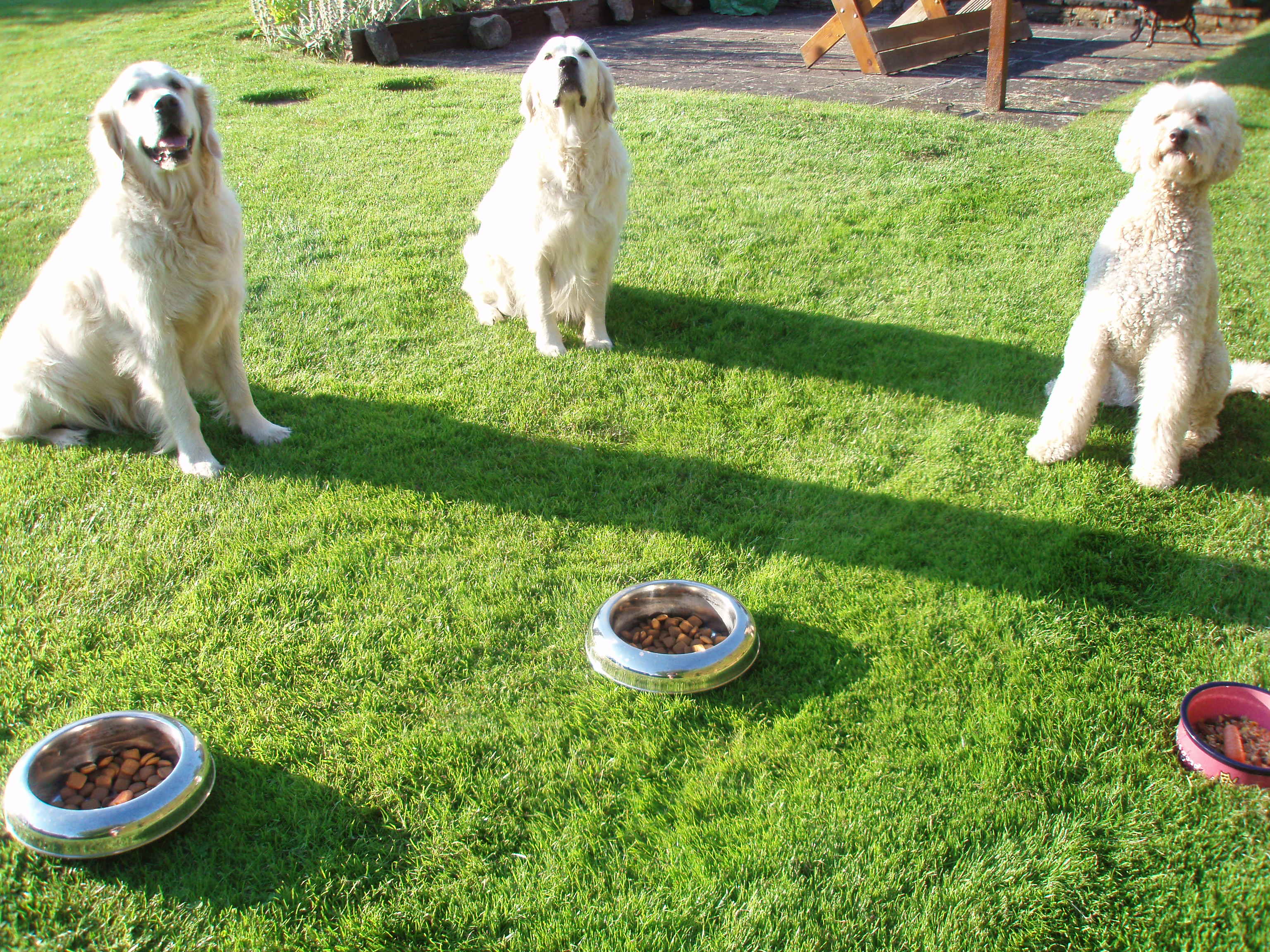 alfresco.JPG